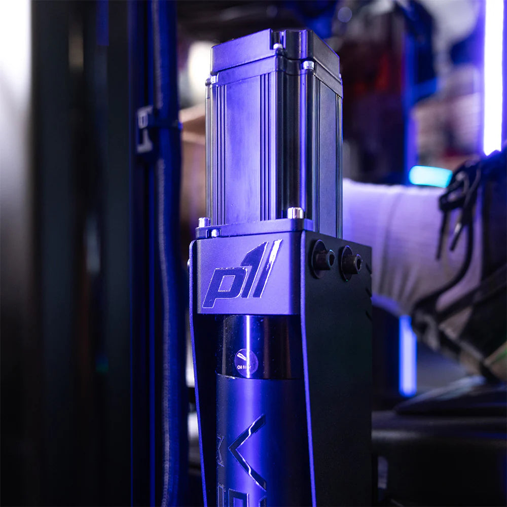 P2 Sim Rig Turnkey