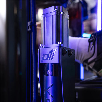 P2 Sim Rig Turnkey